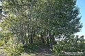 VBS_5303 - La solita strada... il grano da crescere, i campi da arare...